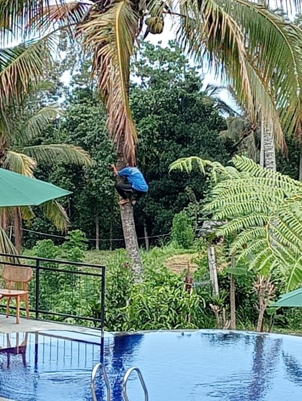 Sekumpul Bali Hidden Space Singaraja Eksteriør bilde