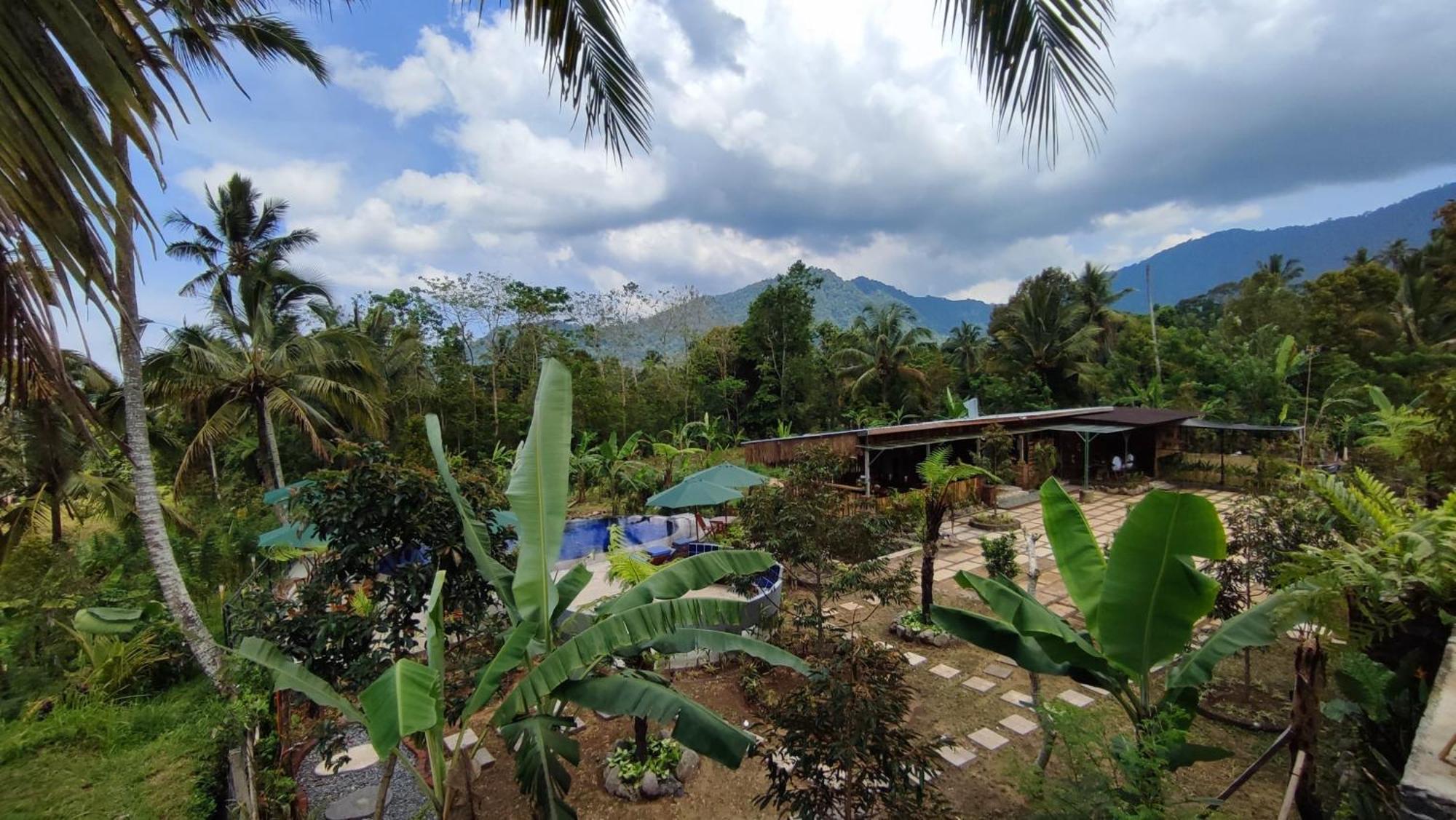 Sekumpul Bali Hidden Space Singaraja Eksteriør bilde